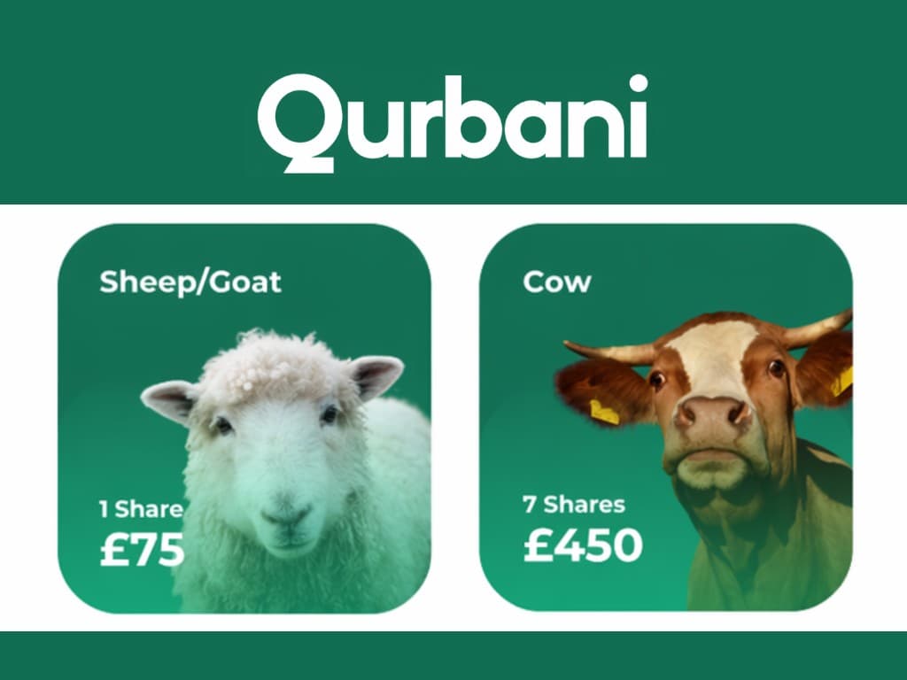 Qurbani options showing sheep goat and cow shares